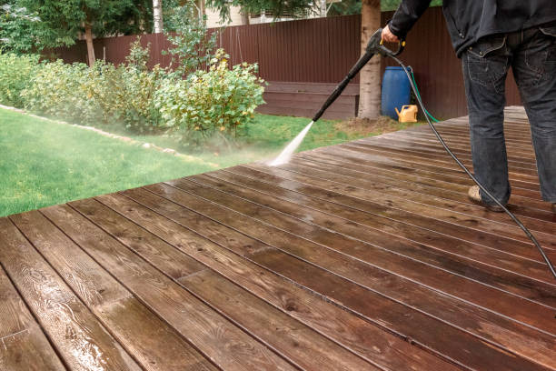 Best Gutter Cleaning  in Palacios, TX
